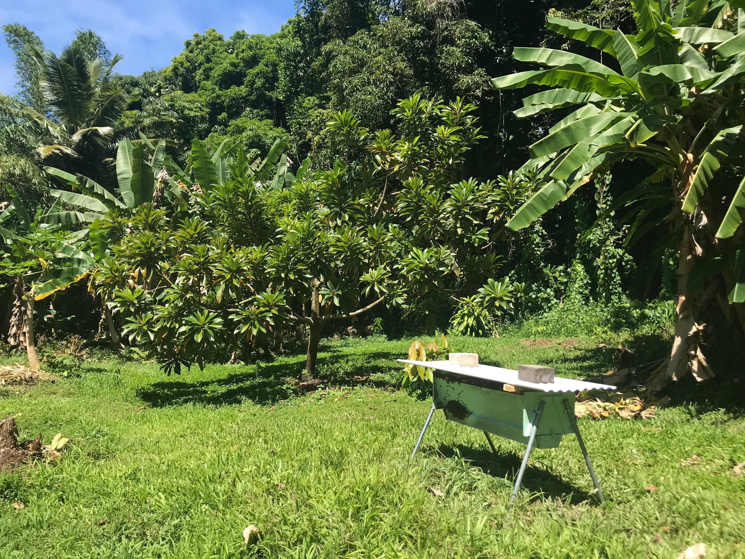 Low Summer Rates! Halemanu Eco-Retreat - Photo 45