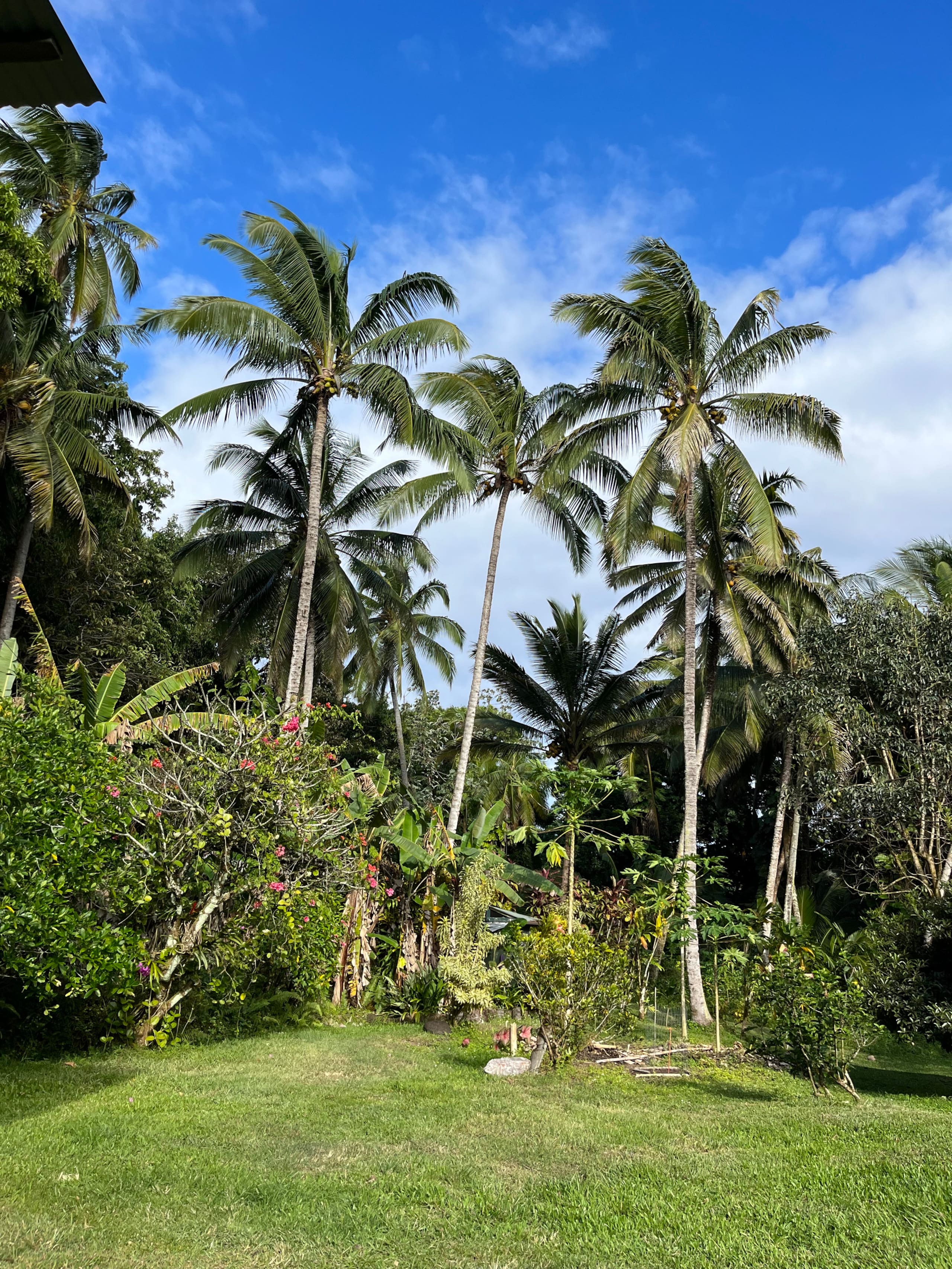 Low Summer Rates! Halemanu Eco-Retreat - Photo 30