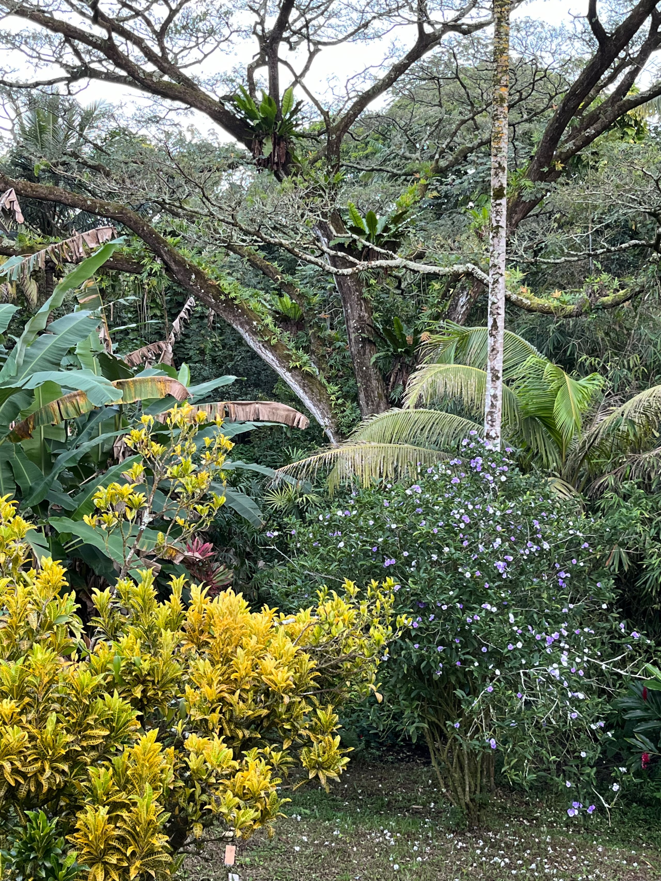 Low Summer Rates! Halemanu Eco-Retreat - Photo 33
