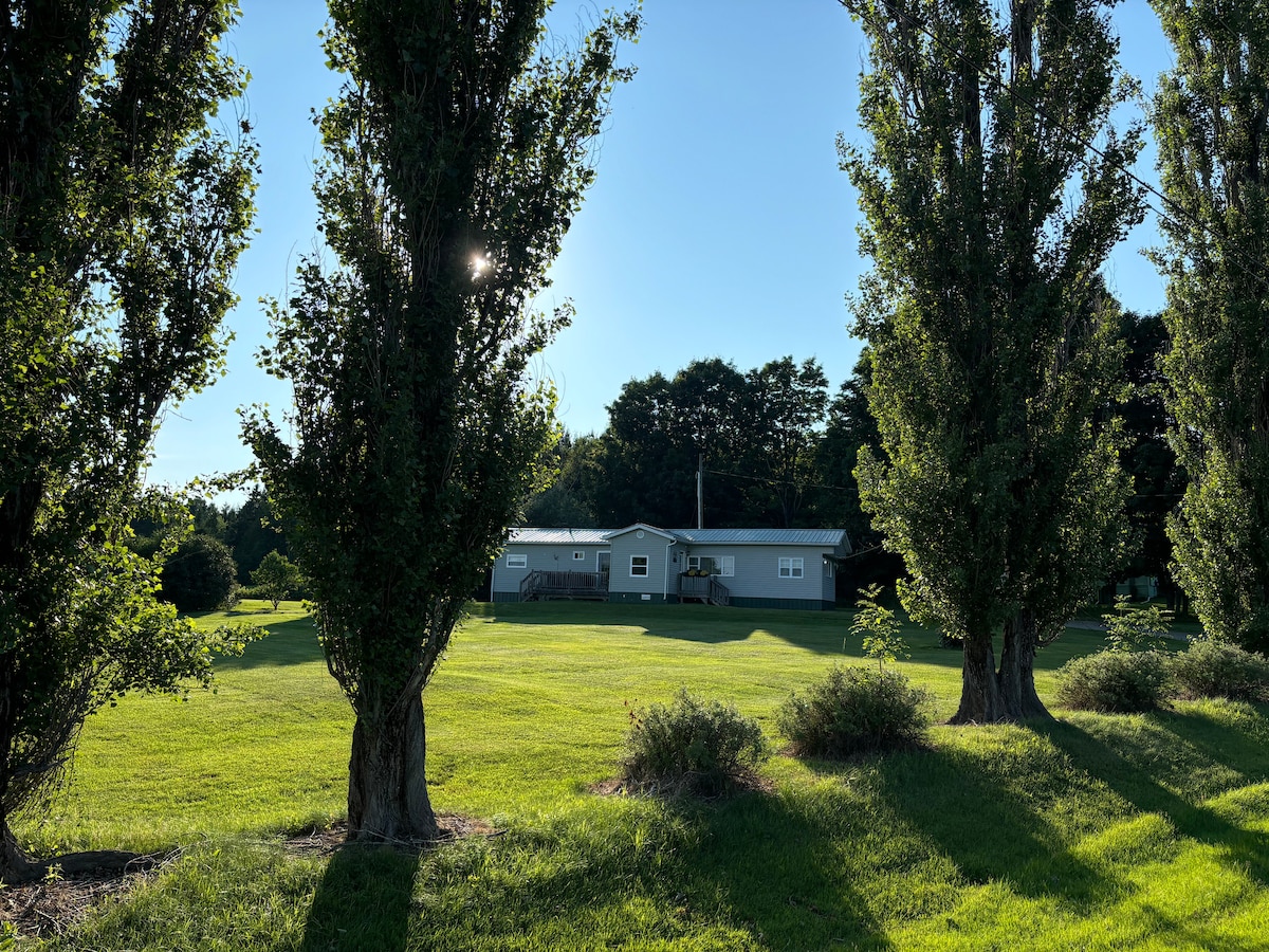 The image portrays a serene country home surrounded by lush green grass and trees. The house is partially obscured by tall trees, with sunlight filtering through the leaves. A spacious yard stretches in front of the home, creating a peaceful outdoor setting.