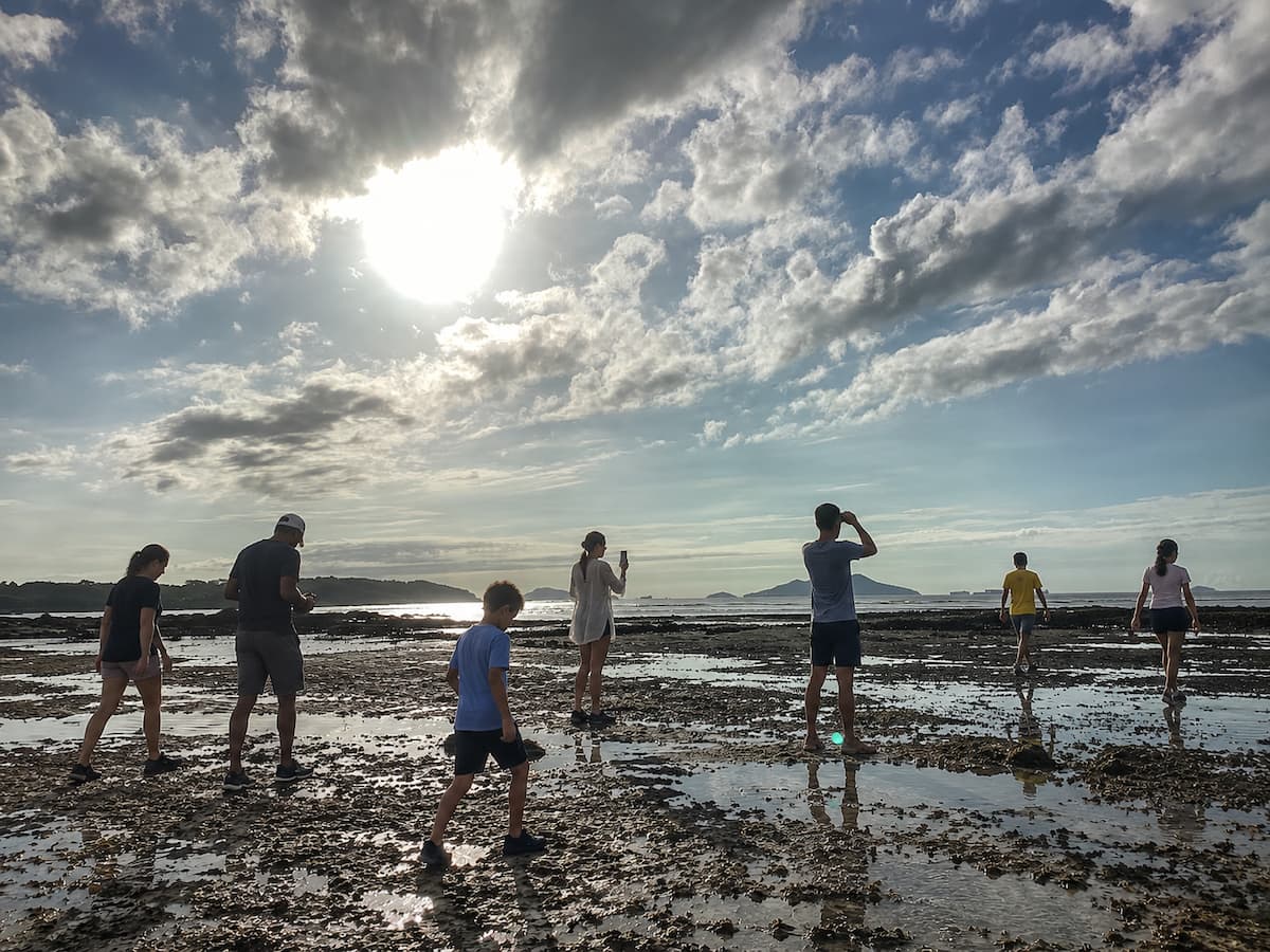 Guests exploring the ocean floor at low tide