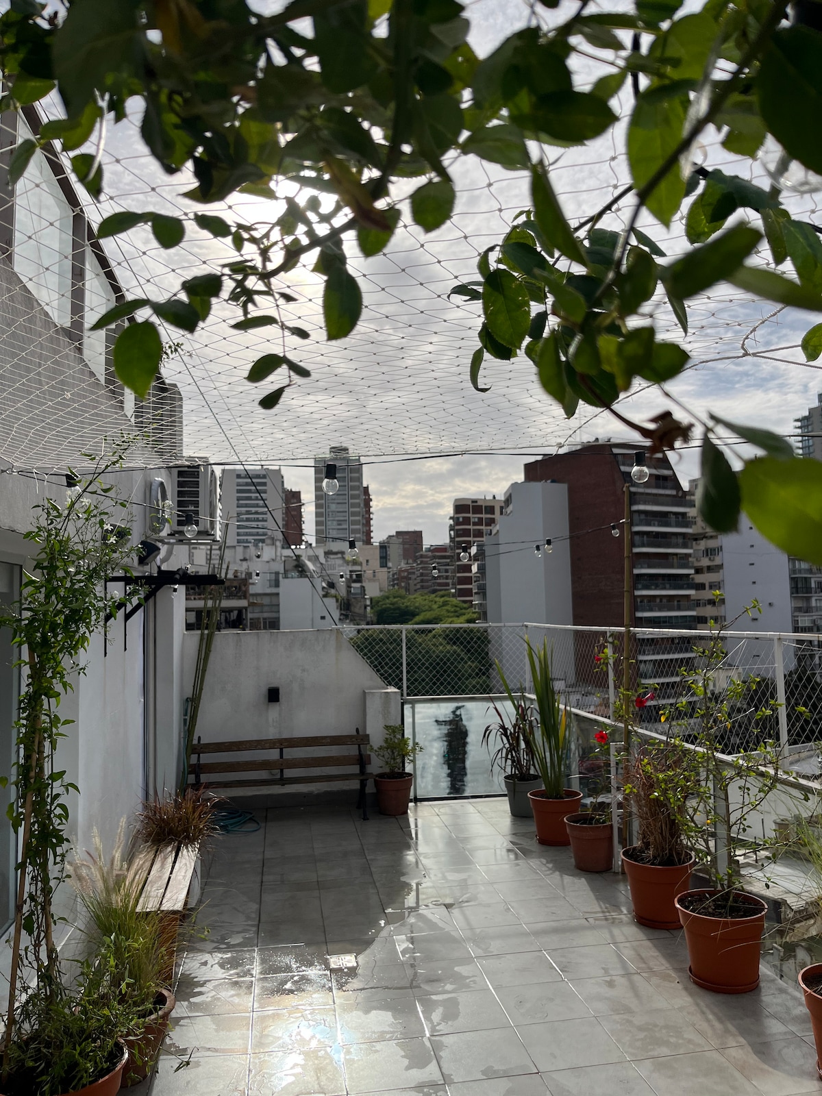 A spacious terrace with potted plants and a wooden bench offers a view of the surrounding cityscape. Natural light filters through a netting overhead, creating a bright, airy atmosphere. The terrace is tiled, and reflections of greenery are visible on the surface.