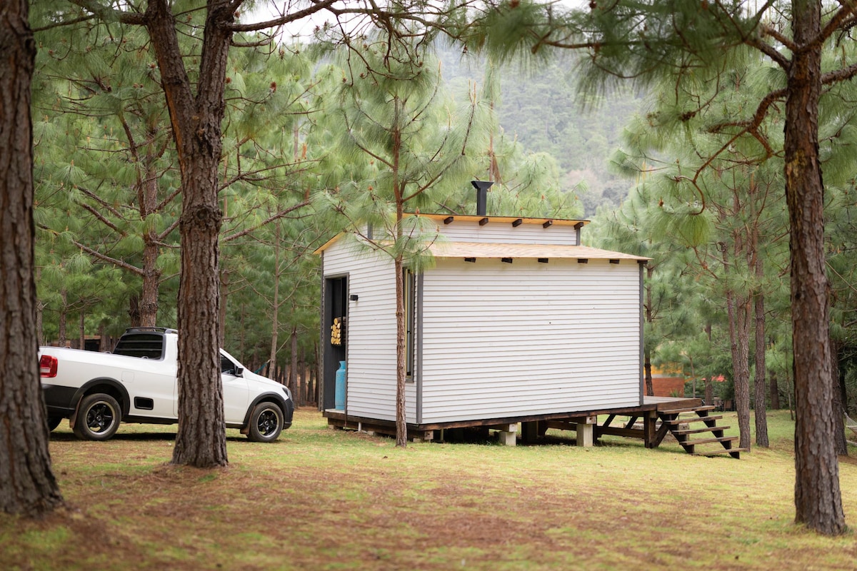 A small, modern cabin is nestled among tall pine trees, offering a sense of seclusion. A white vehicle is parked adjacent to the cabin, which features a wooden entrance and a chimney. Grass covers the ground, completing the serene outdoor setting.