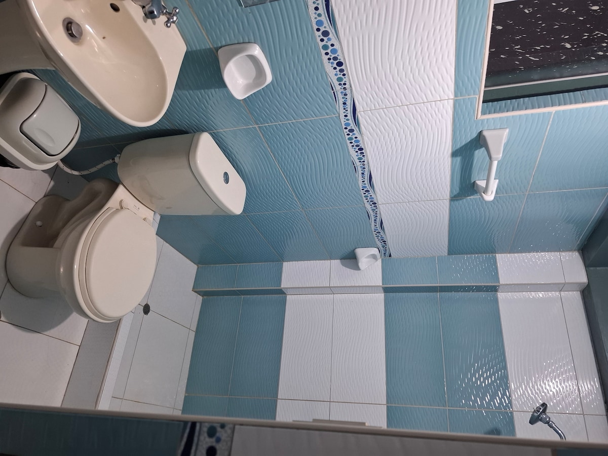 The bathroom features a bright blue and white tiled design, offering a clean and modern appearance. A white toilet and a matching basin are positioned alongside a shower area. Wall-mounted toiletries are present, enhancing the functionality of the space.