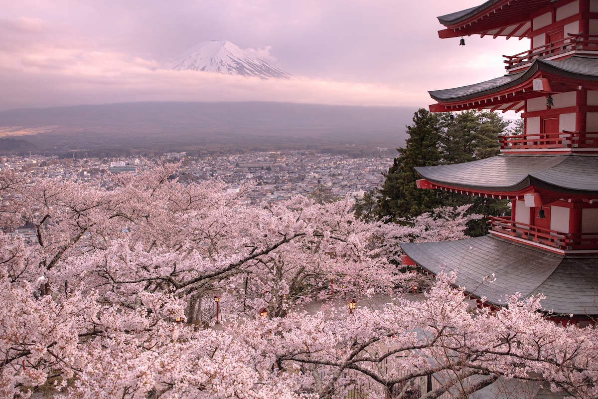 The image captures a striking view of Mount Fuji in the background, framed by blooming cherry blossoms in the foreground. A traditional red pagoda is visible, showcasing intricate architectural details, while a soft pink sky enhances the serene atmosphere.