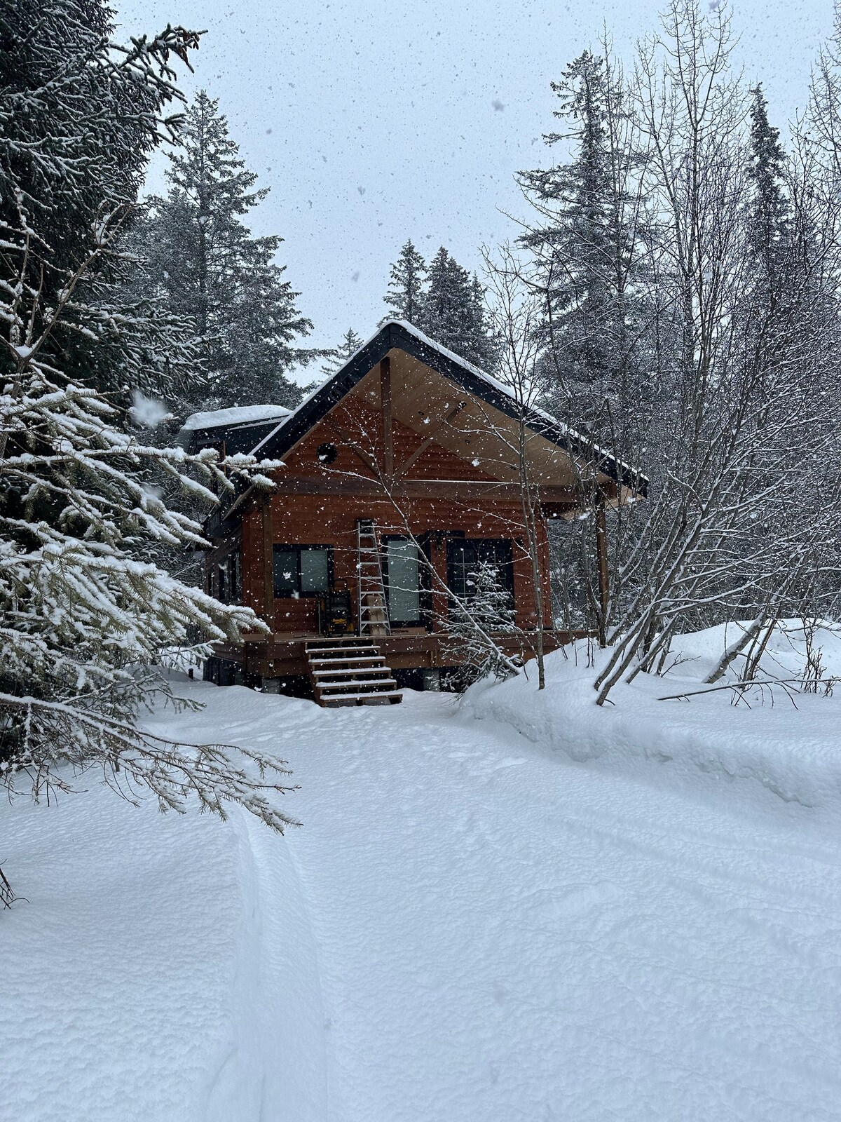 The exterior of a modern cabin is shown, surrounded by snow-covered trees. Snowflakes fall gently in the air, creating a serene winter scene. A welcoming set of steps leads to the entrance, while footprints trail through the deep snow, guiding visitors to the cabin.