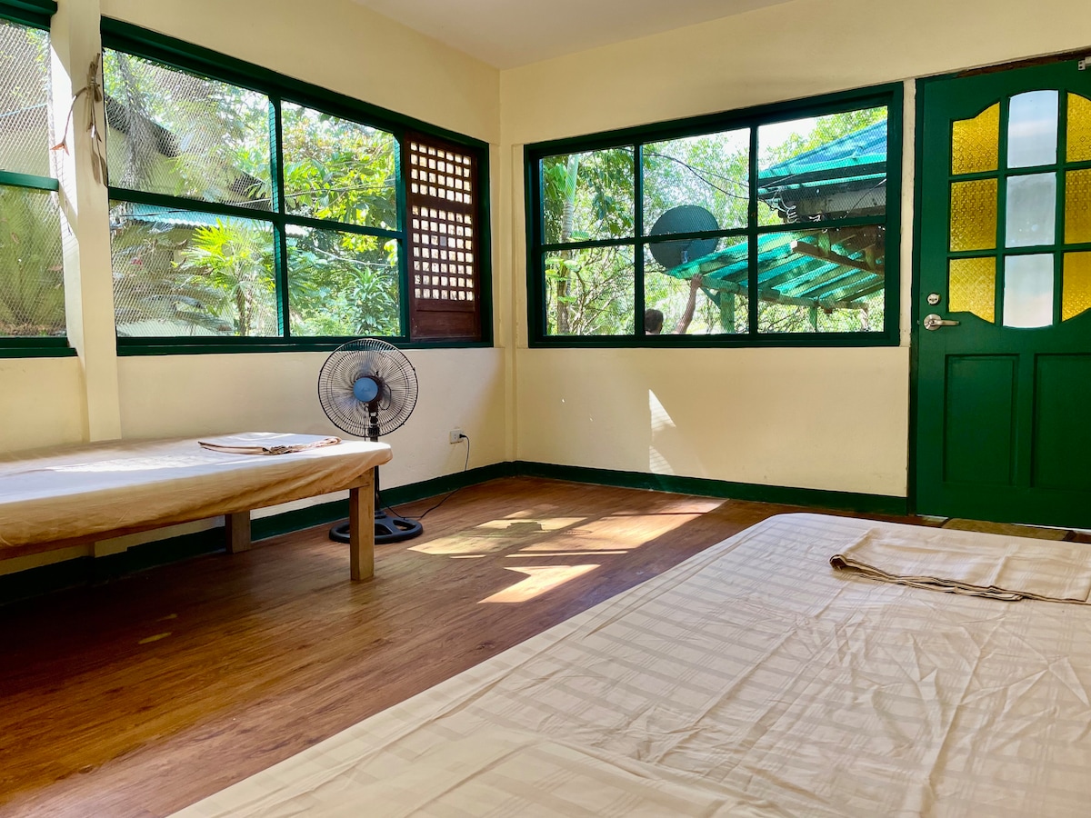 A well-lit bedroom features large windows showcasing a natural outdoor view. A fan stands beside a simple wooden table, while a mattress is laid out on the floor. Sunlight enters through the open windows, enhancing the room's tranquil atmosphere.