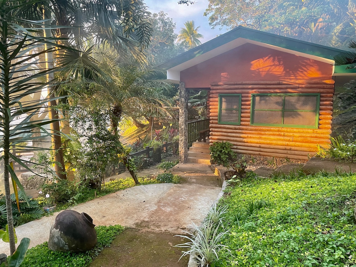 A charming wooden house with a sloped roof is set amid lush greenery. The pathway is framed by vibrant plants and palm trees, leading to the entrance where large windows allow natural light to fill the interior. Soft morning light enhances the serene atmosphere.