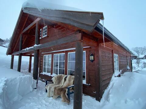 Cozy cabin in the mountains
