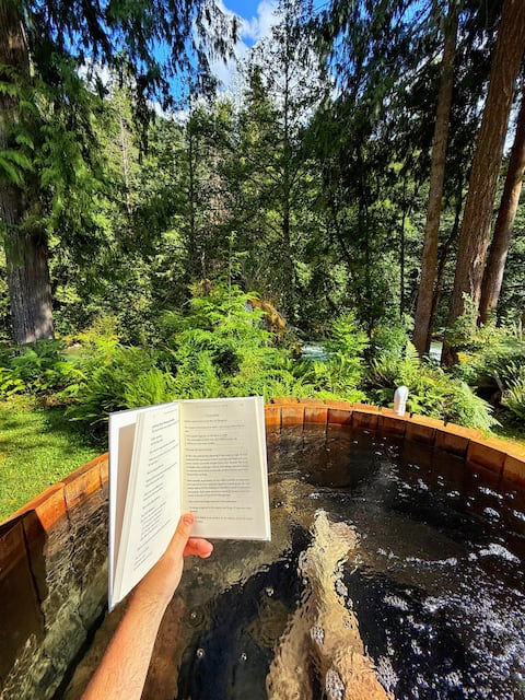 North Cascades River Song: river & mountain views