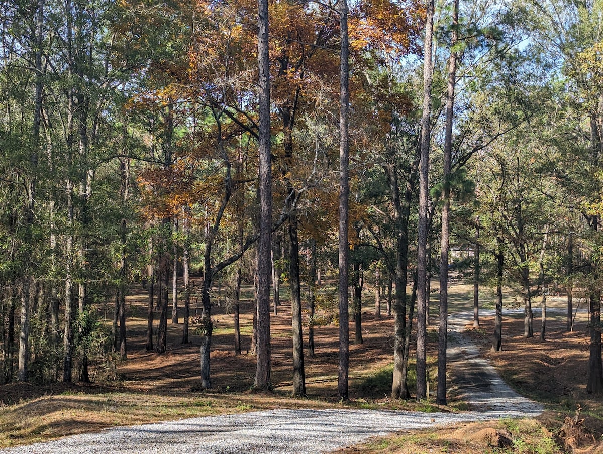 A winding gravel driveway leads through a forested area, with tall trees displaying autumn foliage. Sunlight filters through the leaves, casting dappled shadows on the ground. The peaceful surroundings create a serene atmosphere, ideal for those seeking a secluded retreat in nature.