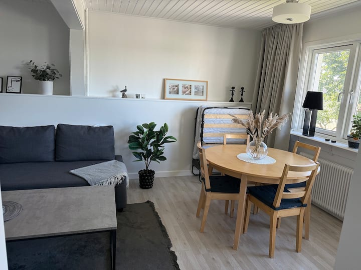 Ghorofa ya kwanza - Kitanda cha sofa kwa watu 2 (sentimita 140x204), kitanda cha wageni kinachokunjwa (sentimita 80x190), televisheni ya 42"+ Chromecast, eneo la kula hadi watu 6 na kabati la kusafisha