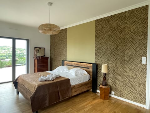 Brazil in the heart of the Condrieu vineyards