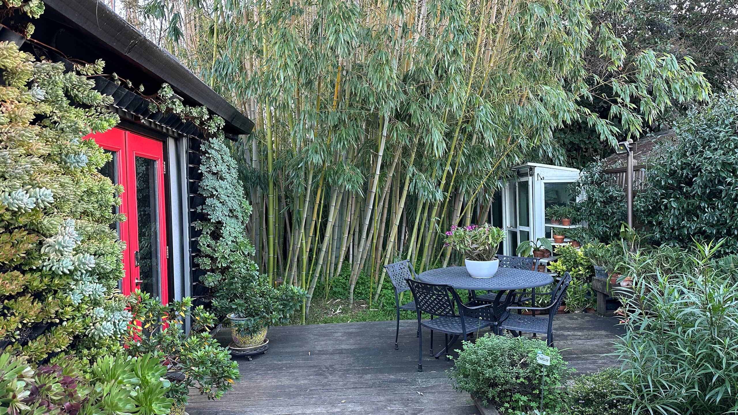 Garden Retreat Steps from Santana Row - Photo 29