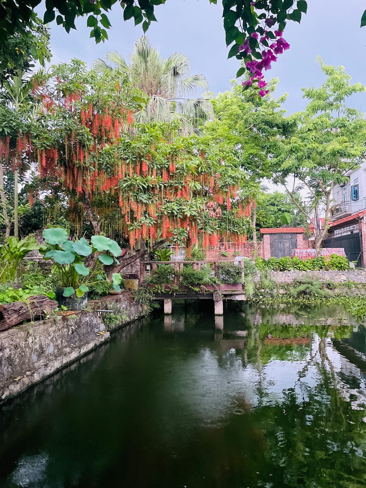 A tranquil garden view showcases vibrant greenery and hanging flowers alongside a calm pond. A wooden bridge crosses the water, reflecting the surrounding flora and stonework. Lush plants and trees create a peaceful, natural environment adorned with a rich color palette.