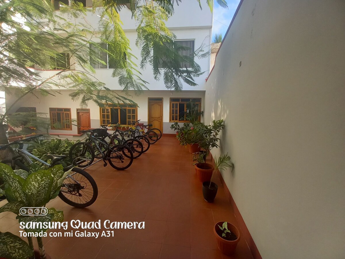 An outdoor area is featured with a terracotta-tiled floor, bordered by potted plants. Several bicycles are parked along one side, and wooden doors with glass windows are visible in the background, contributing to a serene environment.
