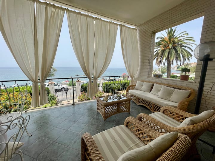 The olive tree by the sea