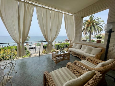 The olive tree by the sea