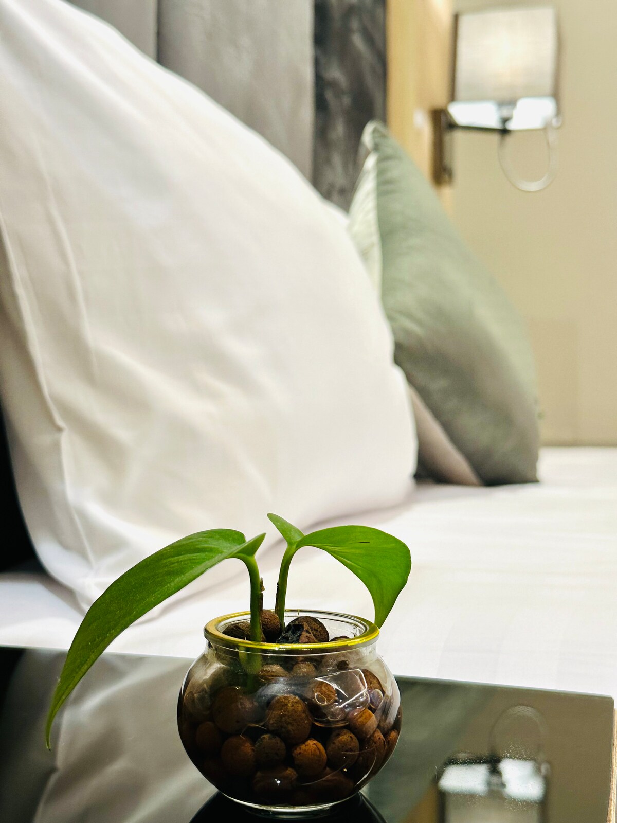 საძინებელი