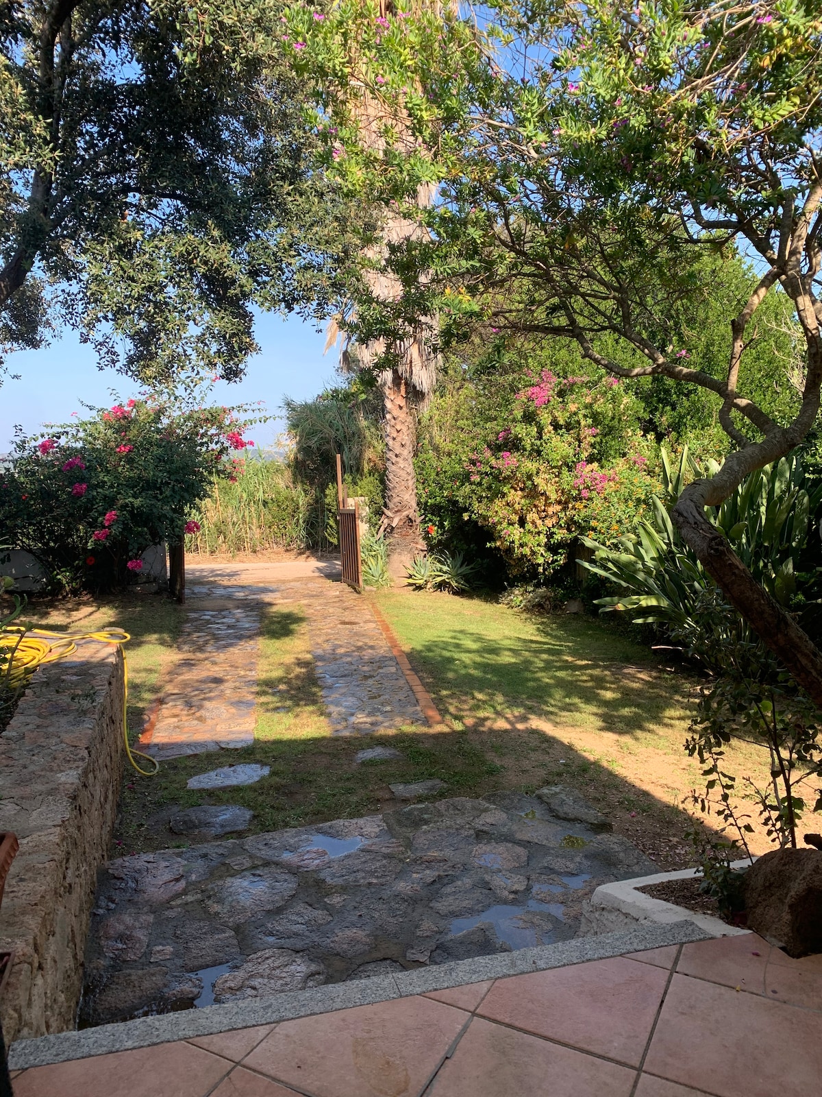 A stone pathway leads through a lush garden filled with flowering plants, palm trees, and various greenery. Bright pink blooms contrast against the greenery, while sunlight filters through the leaves. The area is designed for relaxation and enjoyment of the surrounding nature.