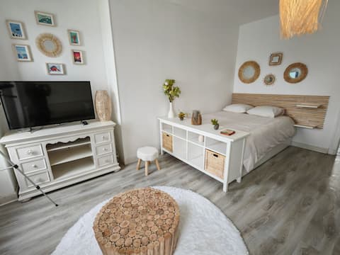 exceptional sea view studio with kayak