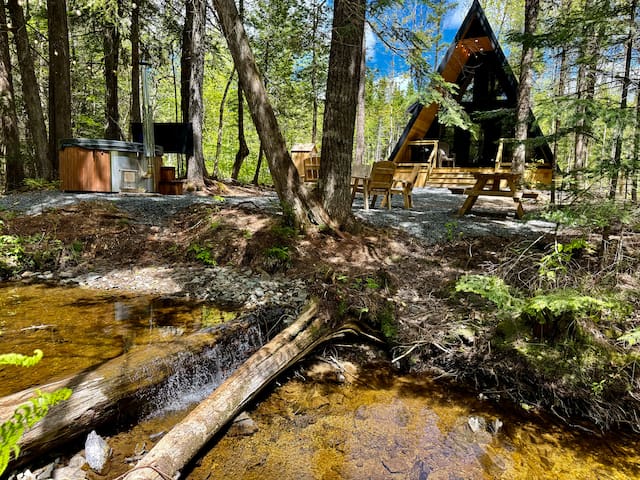 The Oasis of the Trees