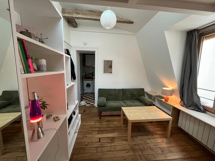 Studio Parisien Sous Les Toits - Paris