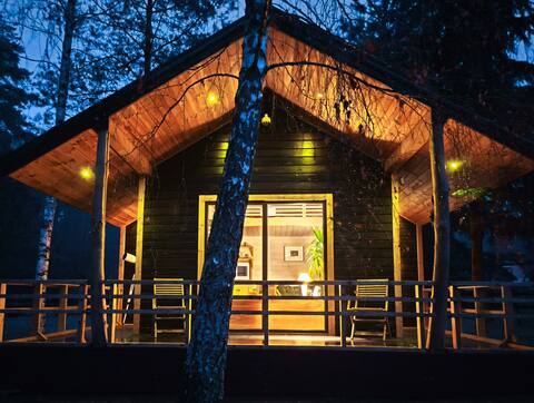 Metai miške&A year in the forest