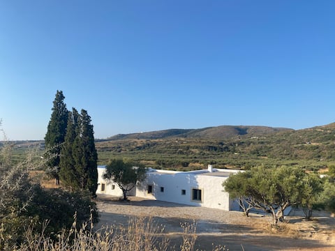 Architect-designed house near the sea