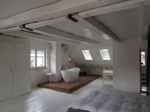 Historic spacious house.