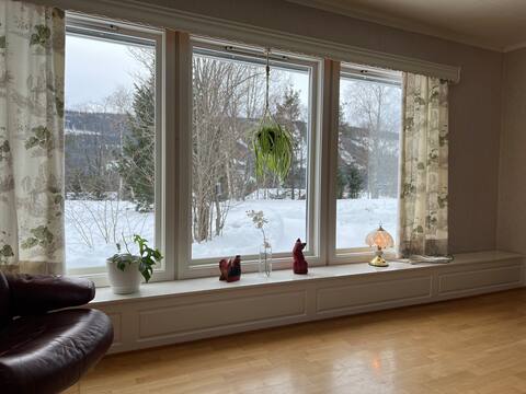 Top performing Airbnb: Cozy house in rural surroundings. in Trysil