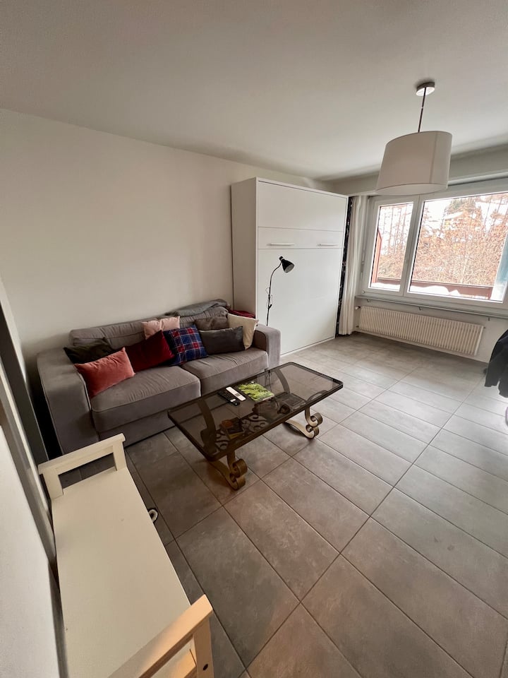 Studio Moderne Dominant La Ville + Parking Gratuit - Loèche-les-Bains