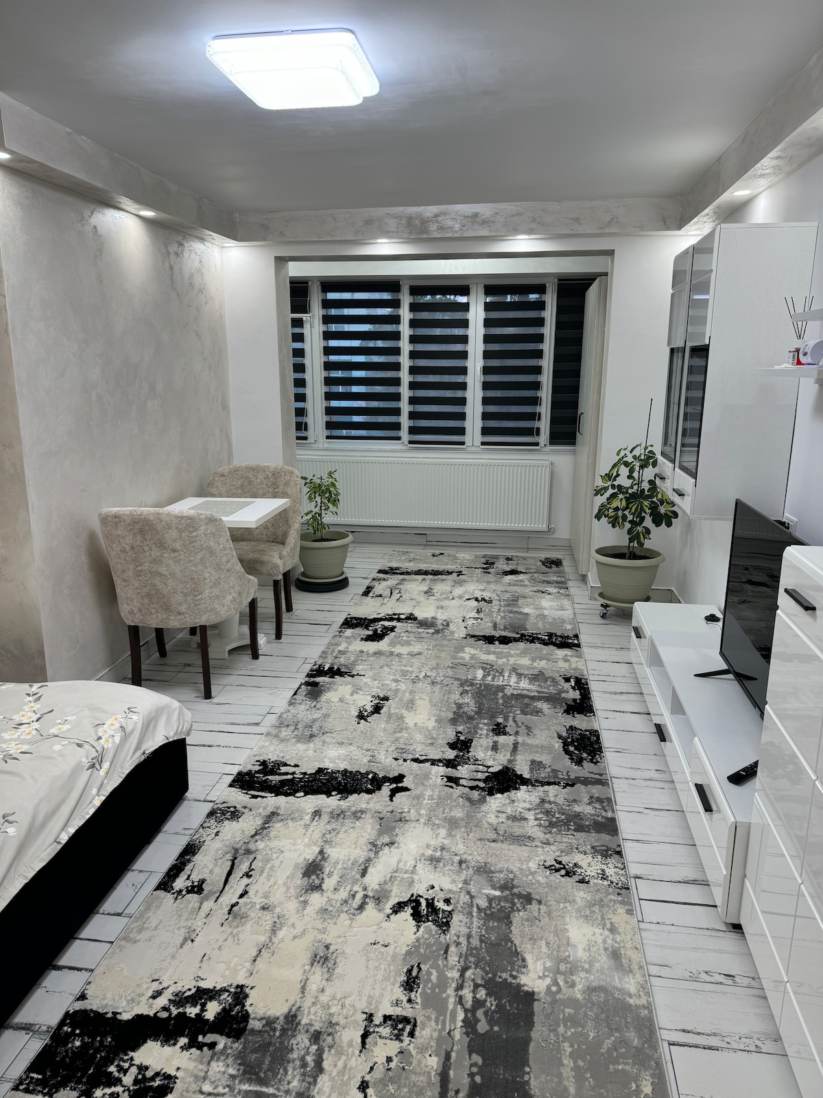 A modern living space features a long, textured rug that extends between a small dining table and a cozy sleeping area. Two upholstered chairs are positioned around the table, with potted plants situated nearby. Large windows offer natural light filtered through dark blinds.