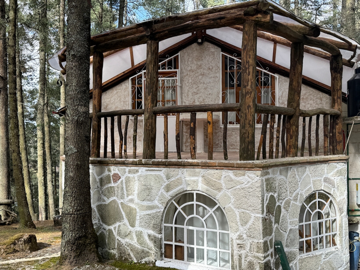 The cabin features a distinct architectural style, with a stone base and wooden accents. Large windows allow natural light to fill the interior, while a curved balcony with railing provides an inviting outdoor space. Surrounding pine trees enhance the serene forest setting.