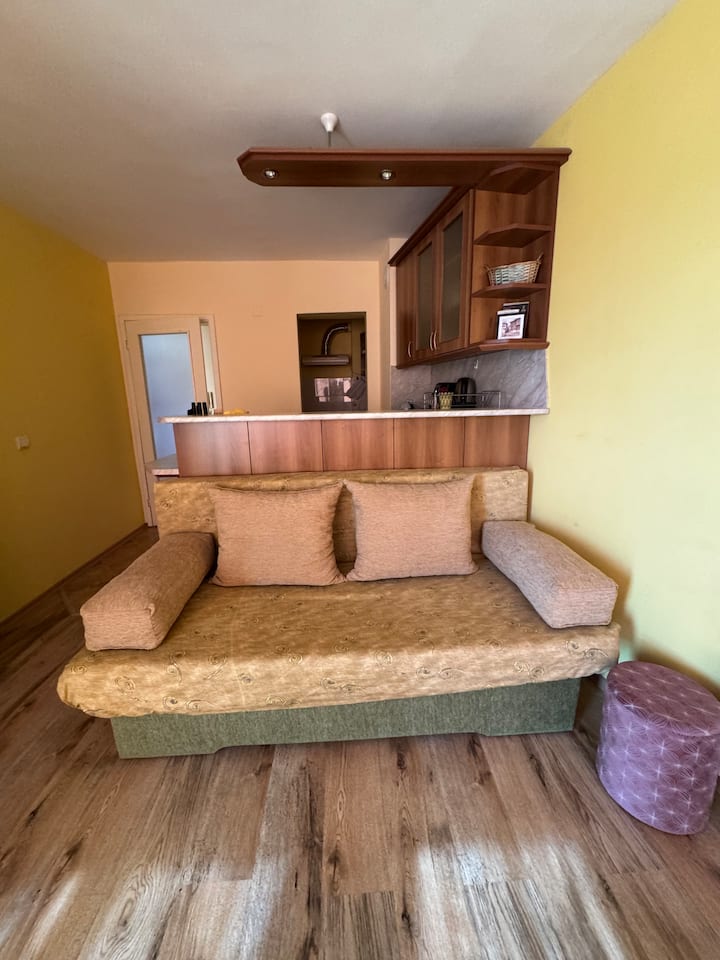 Radetsky Apartment • Free Private Parking - Dimitrovgrad