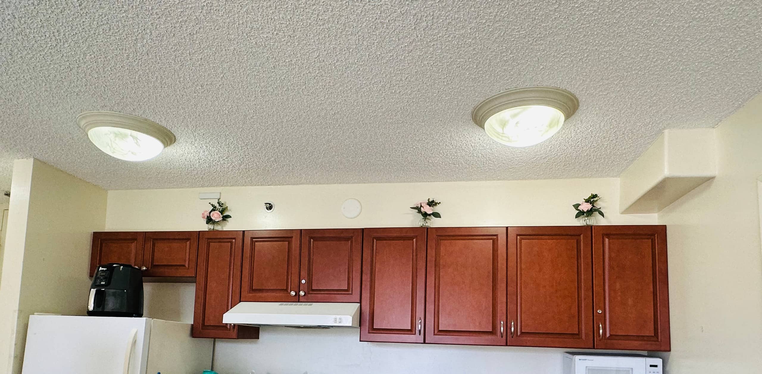 Condo in Honolulu · ★4.78 · 1 bedroom · 3 beds · 1 private bath - Image 14