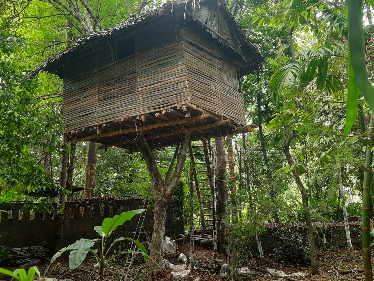 A treehouse is nestled among lush green foliage, elevated on wooden stilts. A simple ladder leads up to the entrance, while the structure is framed by dense trees and natural surroundings, highlighting the serenity of the wild landscape.