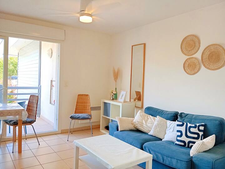 Appartement T1 Bis Cosy, Calme Et Lumineux - Saint-Paul-lès-Dax