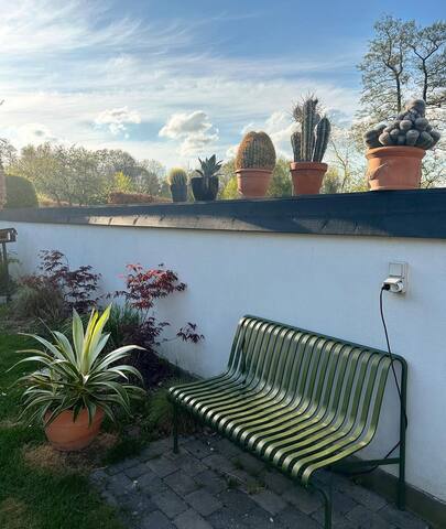 Rare Find: Stor Villa centralt beliggende gallery image 5