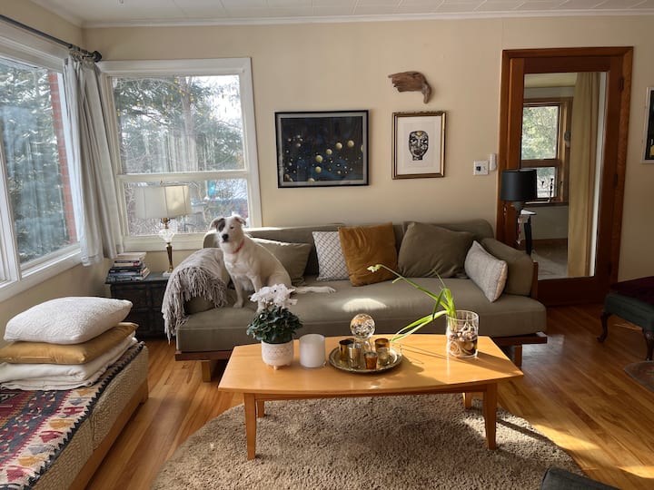 Artist Home
2beds + Pullout Couch
2 Nights+ Only - Montpelier, VT