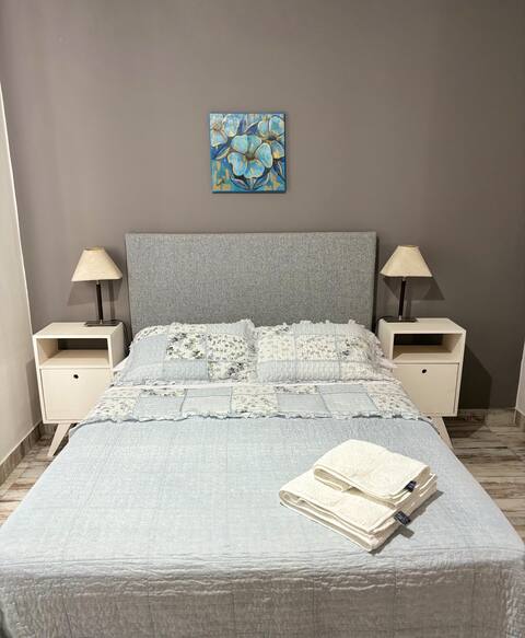 Rioja Center Apartment