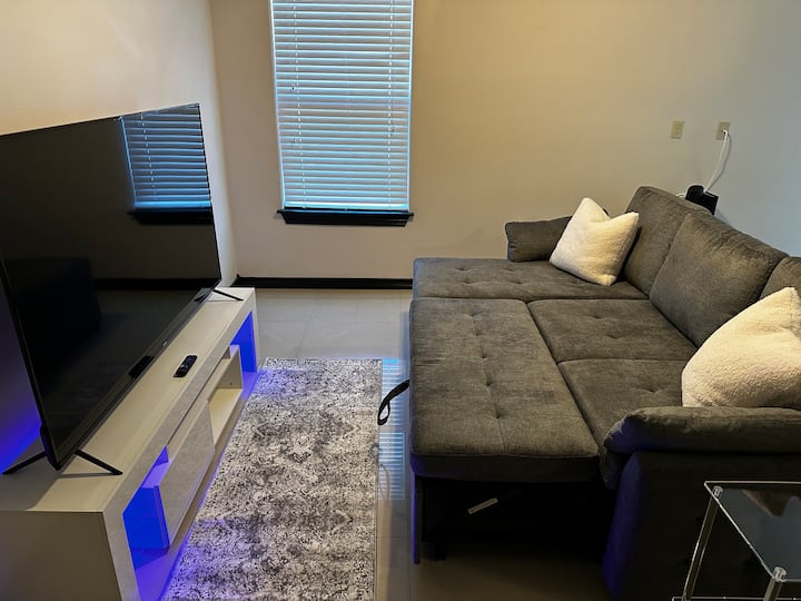 Deluxe Uptown Apartment - Laredo