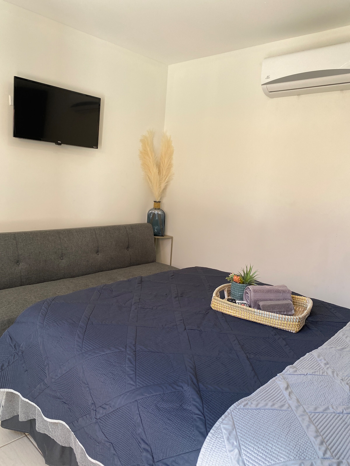 A cozy room features a spacious bed with a dark quilt. A soft gray sofa is positioned nearby, while a television is mounted on the wall. A vase with decorative pampas grass adds a touch of style, and a tray with towels and a small plant is placed on the bed.