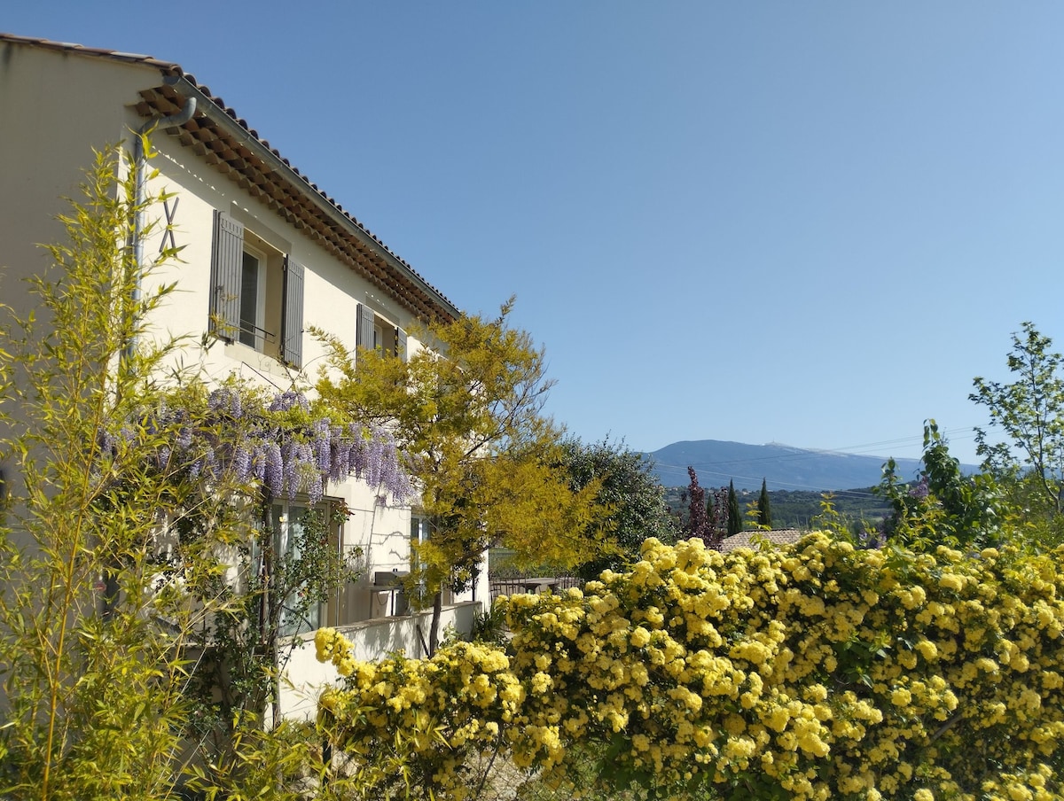 A charming villa is set against a clear blue sky, surrounded by vibrant yellow flowering bushes. Lush greenery frames the exterior, while a gentle view of Mont Ventoux can be seen in the background, contributing to a serene and inviting atmosphere.