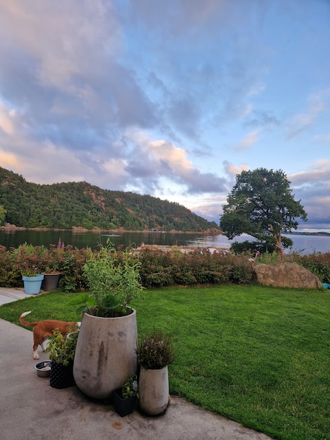 Cabin by the sea - view, good fishing opportunities!