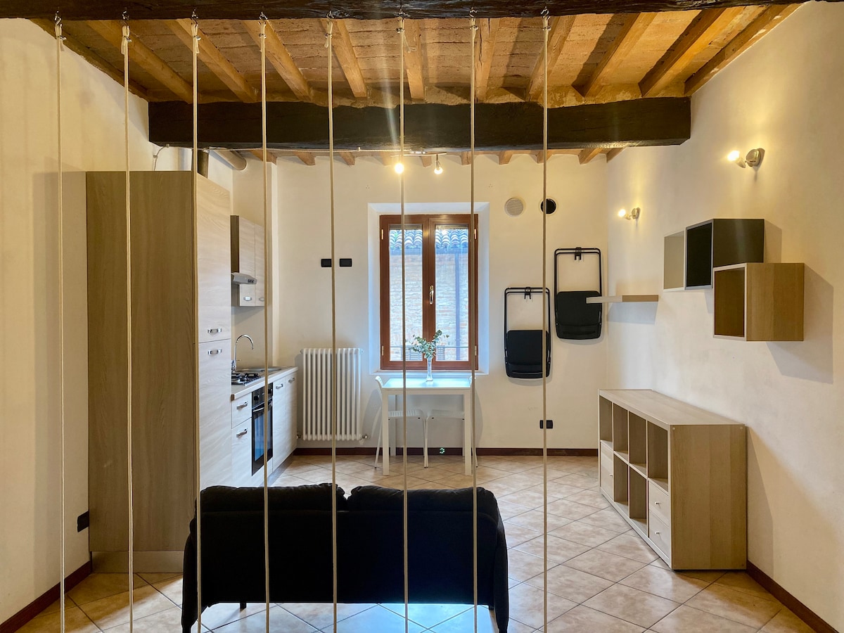 Top performing Airbnb: Teatro Inn - Timeless Charm in Reggio Nell'emilia