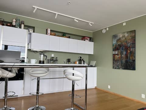 Modern apartment in Ski