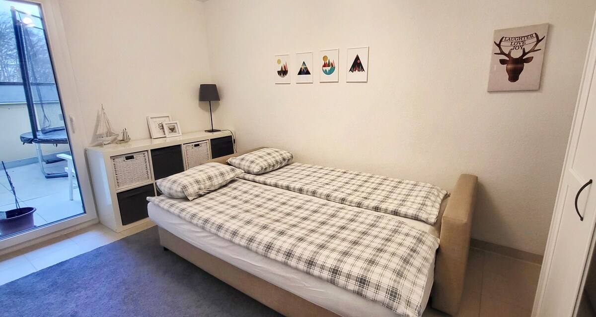 חדר עם ספה נפתחת זוגית שמוביל לאחת משתי מרפסות. 