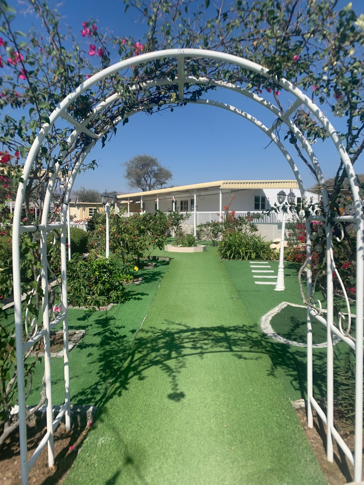 An archway draped with flowering vines frames a green pathway leading through a vibrant garden. Lush plants and blooming flowers line the path, while a light blue sky provides a bright backdrop to the serene landscape.