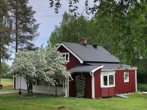 Rural idyll near water in scenic area